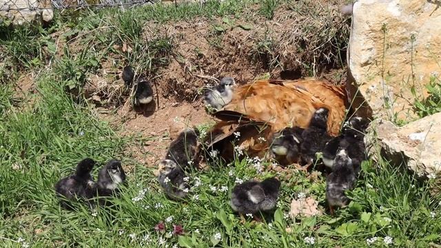 5933e23cf664b31760226fe06d37071c