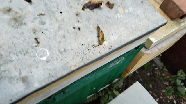 Повторная обработка Бипином. Результат.