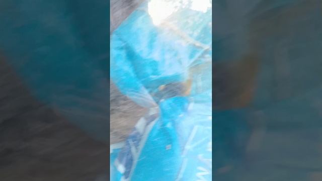 Хэлуинский спец выпуск 2025