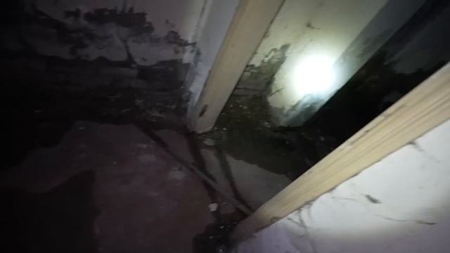 АлояВера и Алекс Аморал