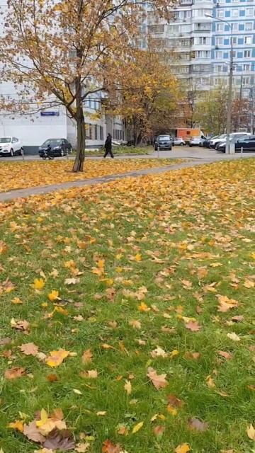 Осенние зарисовки