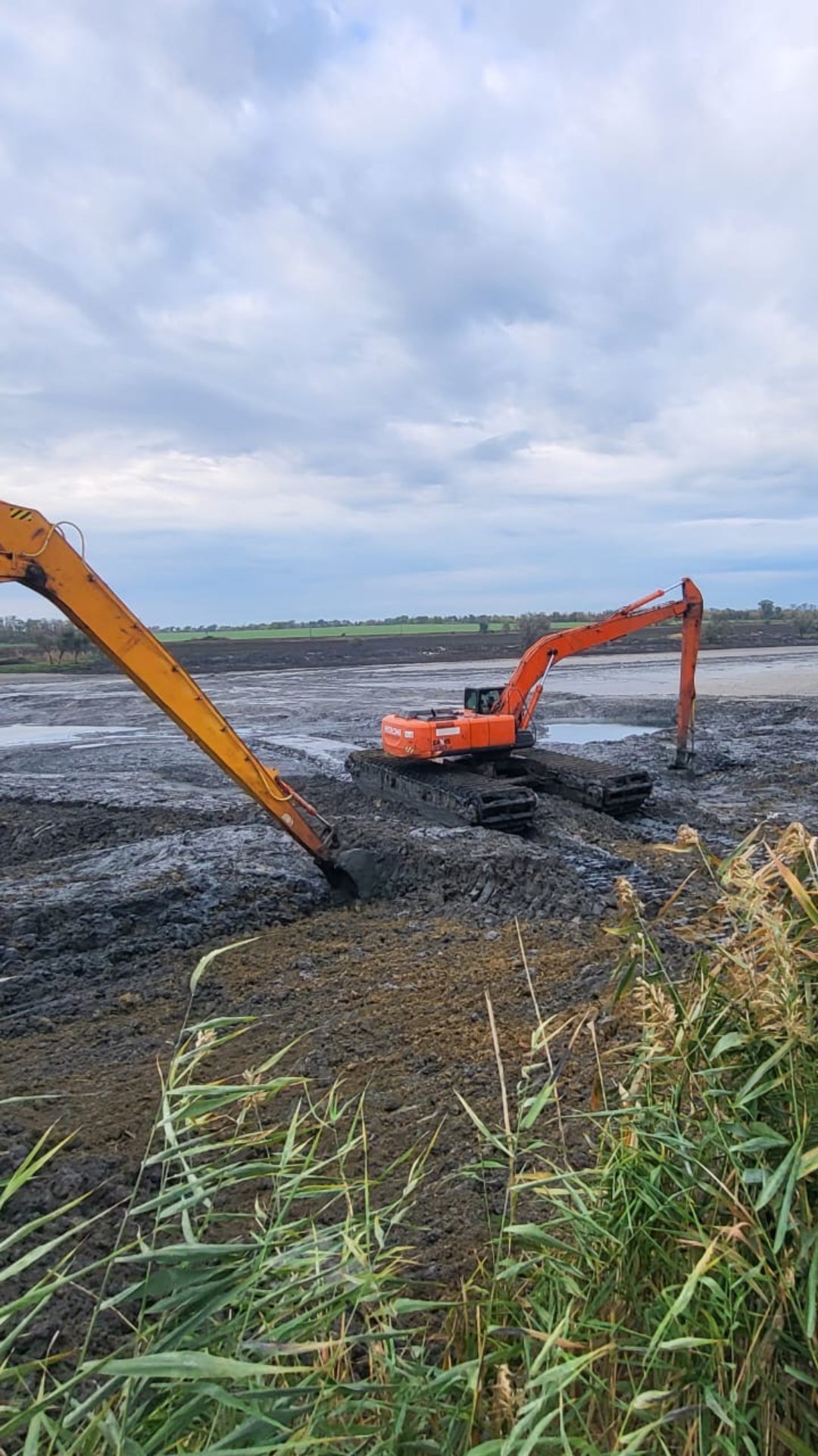 Генеральная расчистка ила!