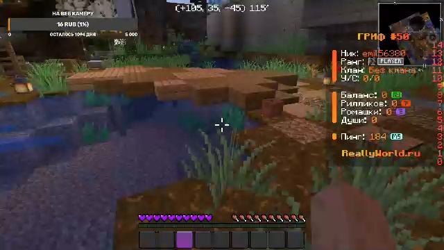 играем в майнкрафт на сервере REALLYWORLD