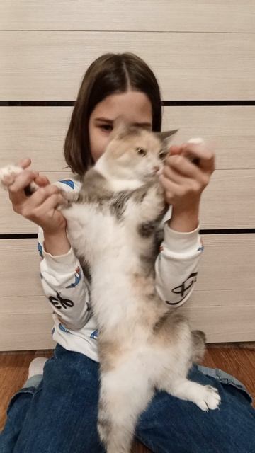 Танцпол везде от Маси!💃🪩#Танцполвезде#ТанцполотМаси#Танец# Shorts