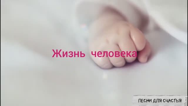 Сердце ❤️- мотор . Жизнь человека