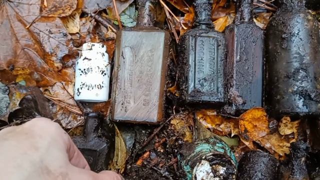 Старинные бутылки из болотной жижи