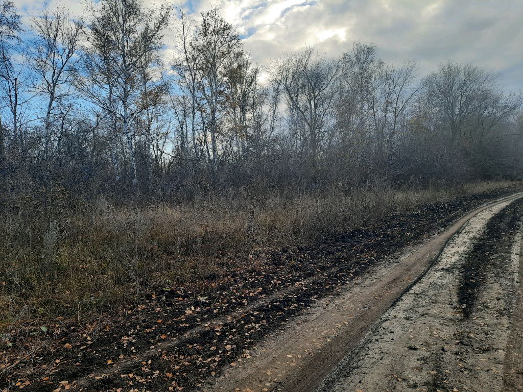 59af5c25a46af3bac02fcb9185222e5c