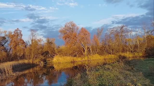 3239b72def951eb62f6d85731d1ed104