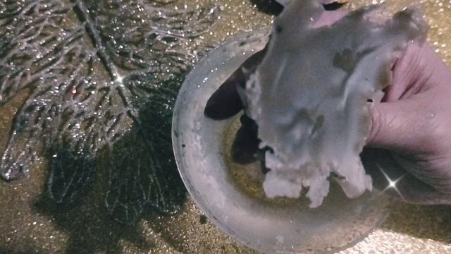 Помощь Рода!!!✨