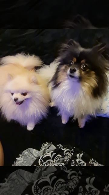 418496454bc3ec4403273a18ef76f91a