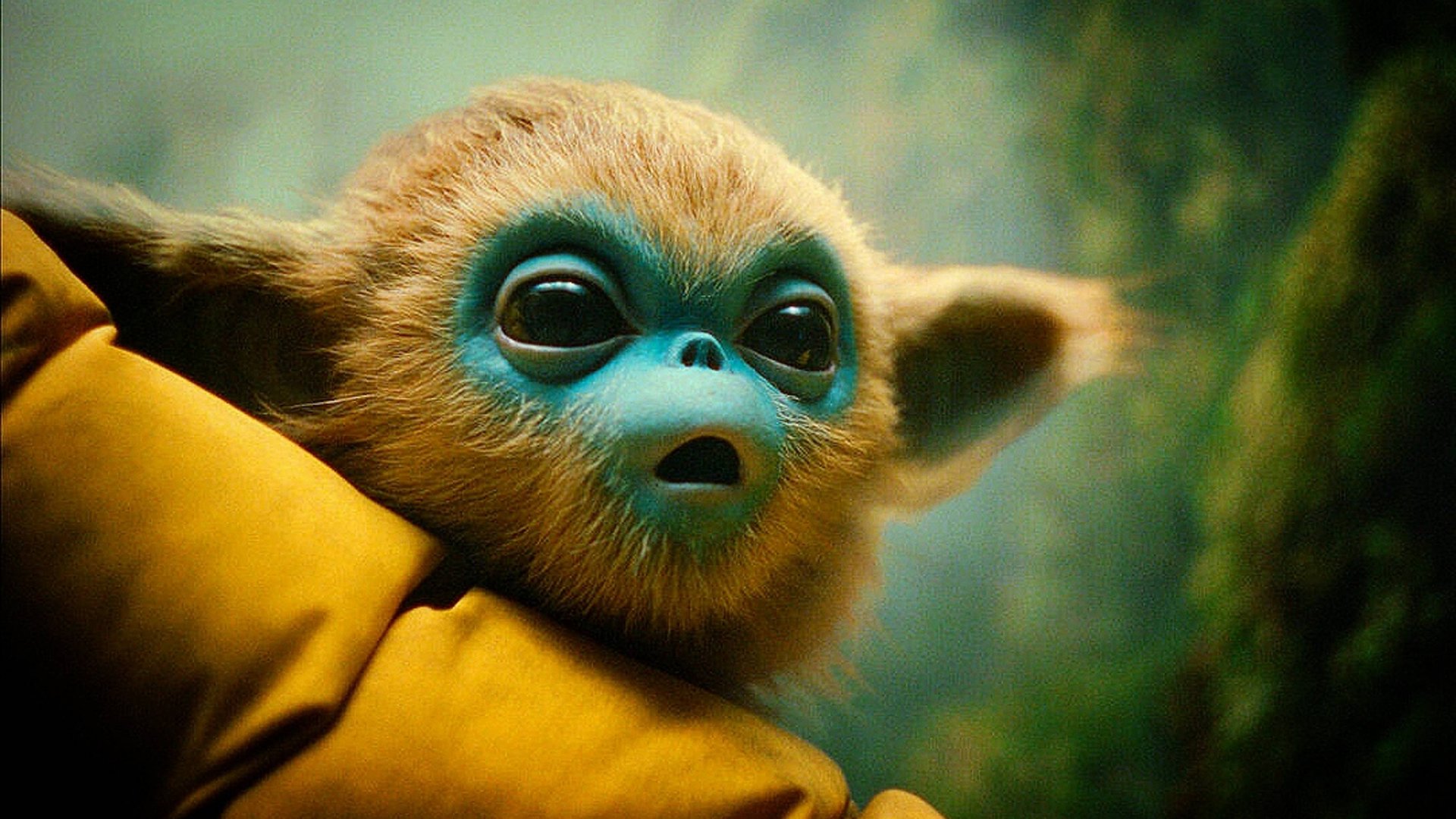 Ad323c955589db4f09aef4adae18cbf1