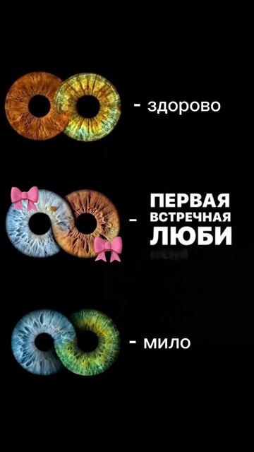 Ну да но только 1 человек суда относятся)