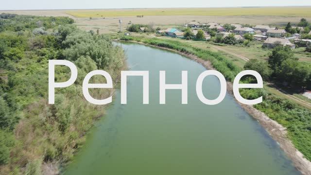 Репное 18 июля 2025 год