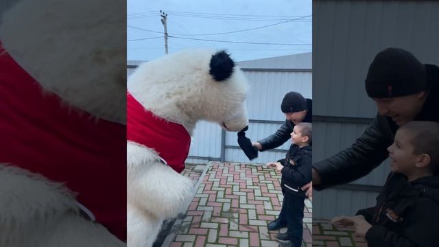 Сюрприз за 1000 километров. Белый мишка 004