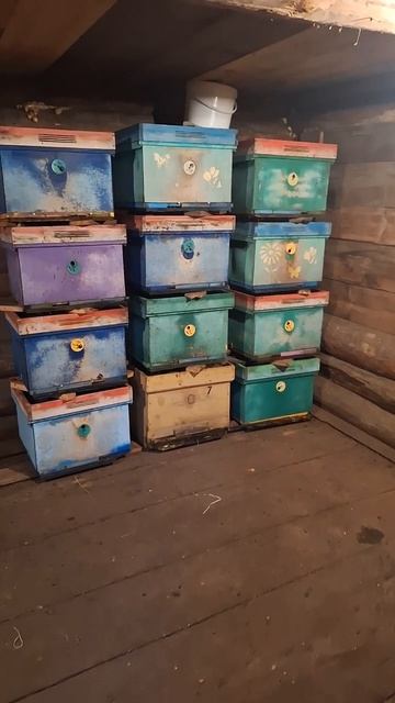 ПОСТАНОВКА ПЧЕЛОСЕМЕЙ В ЗИМОВНИК