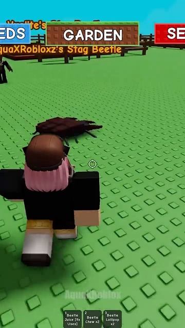Beetle Is Big W #growagarden #roblox #shorts
