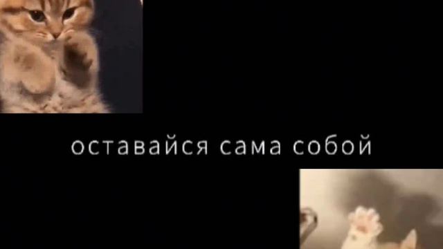 ｡･:*:･ﾟ’☆