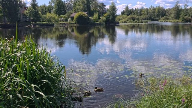 Приозерск. VID_20250814_134555_168