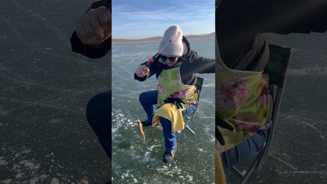 E84f40e0f339d307639c7555d50874f1