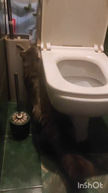 Сантехника вызывали