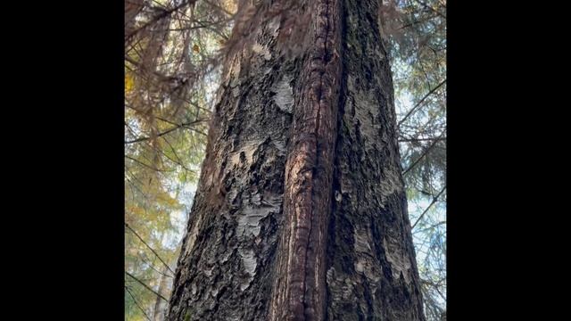 4fcdec93f9ba2b7c3a1bd3e8c3a40685