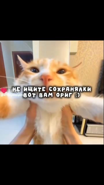 :)