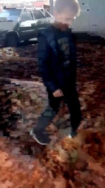 Артур прыгает в кучу листьев