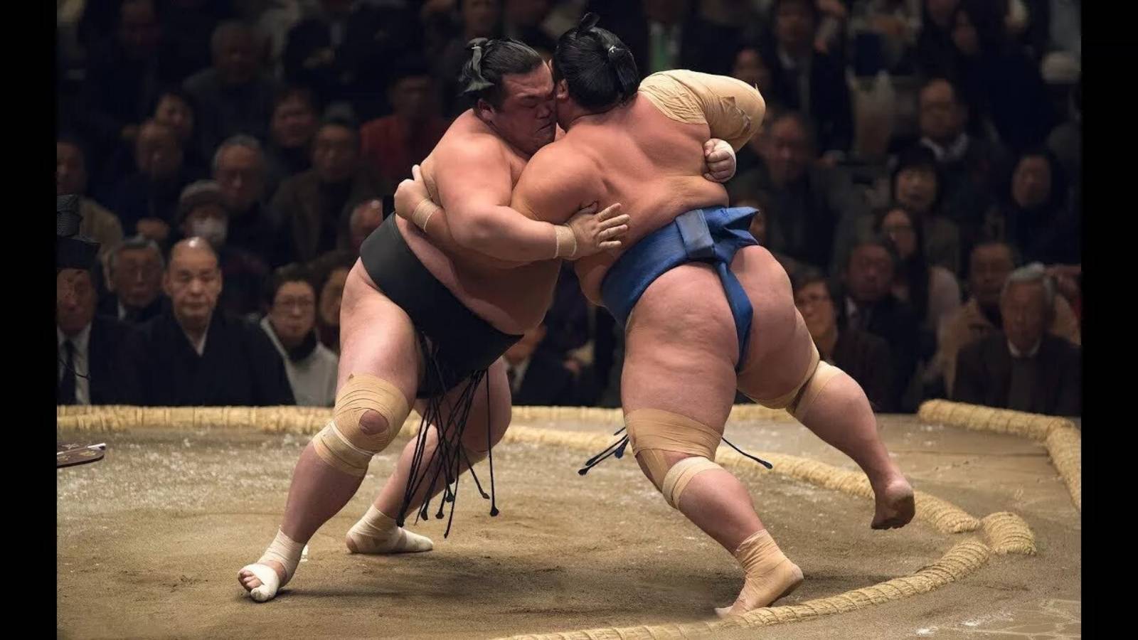 Су-33. Битва двух йокодзун