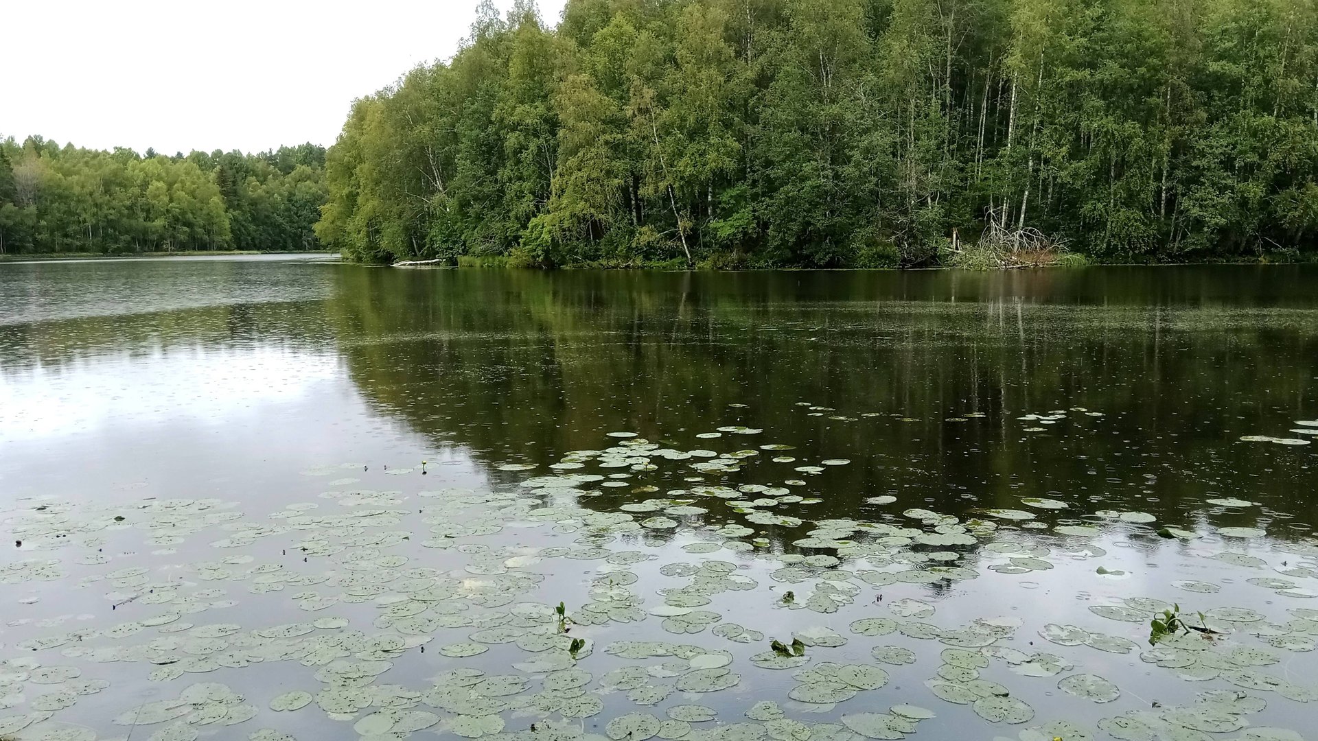 9a9fc71c1ee750c24676643d183e0b5f