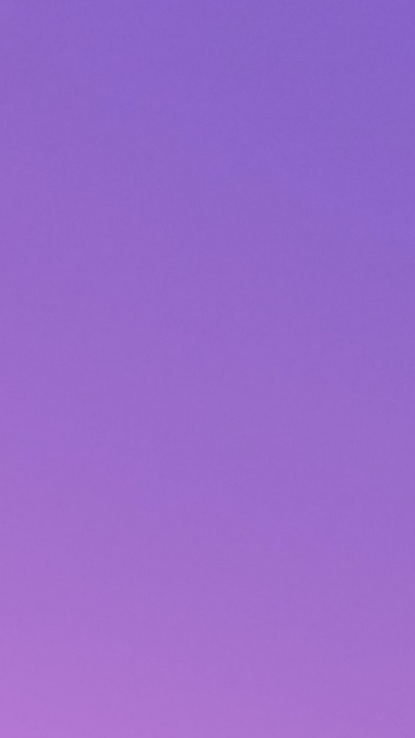 Живёт у меня кошечка Соня. Она милая, игривая и очень пушистая. Мы забрали ее из приюта, когда Соне.