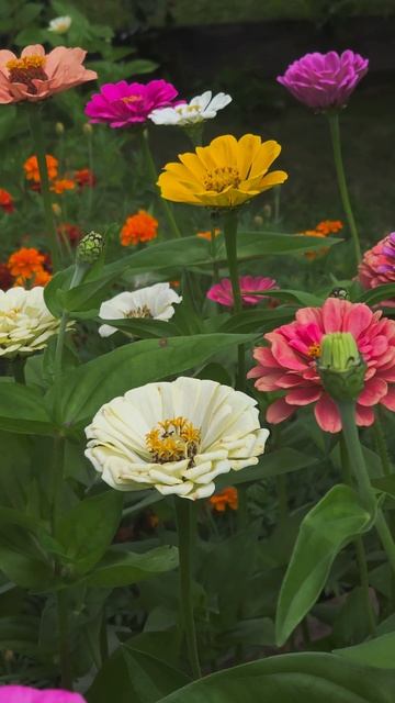 красота природы