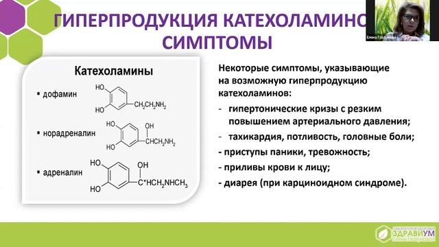 «НАДПОЧЕЧНИКИ — МАЛЕНЬКИЕ ЖЕЛЕЗЫ БОЛЬШОГО ЗНАЧЕНИЯ»