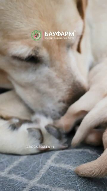 Смотрите полное видео про компанию MARS и будущее ритейла на нашем канале📹