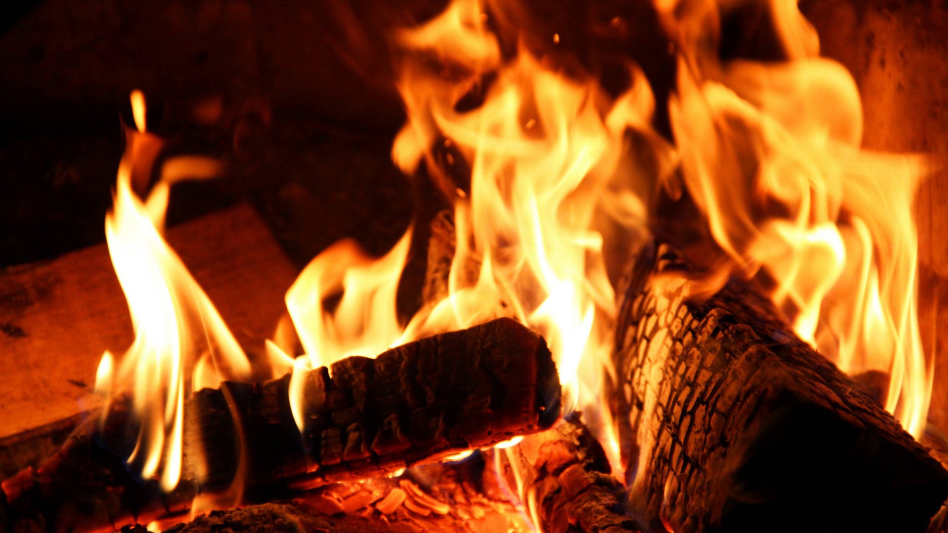 358072acf2de3fc76124040cd4713374