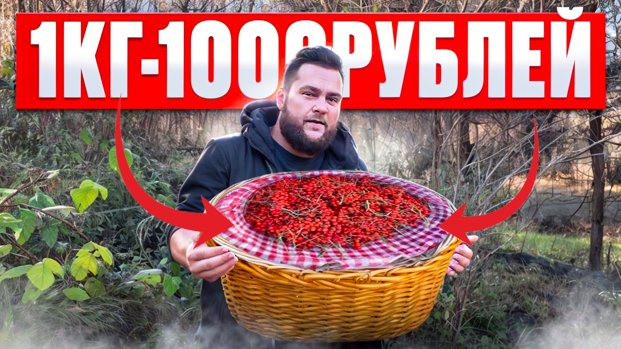 C9c6f6f632cc02953e090f1a0655ad03