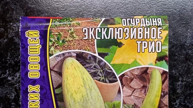 Хотите посмеяться? Как я купила семена огурдыни