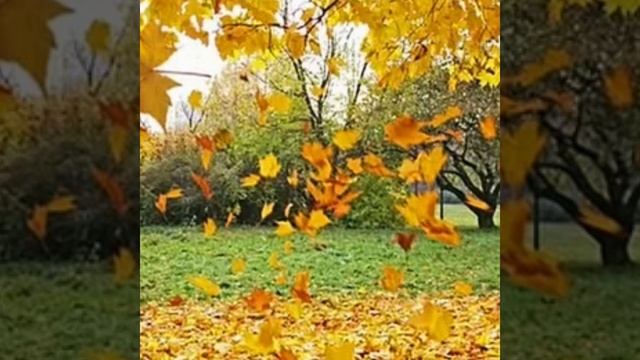 Пётр Ильич Чайковский спящая красавица Вальс