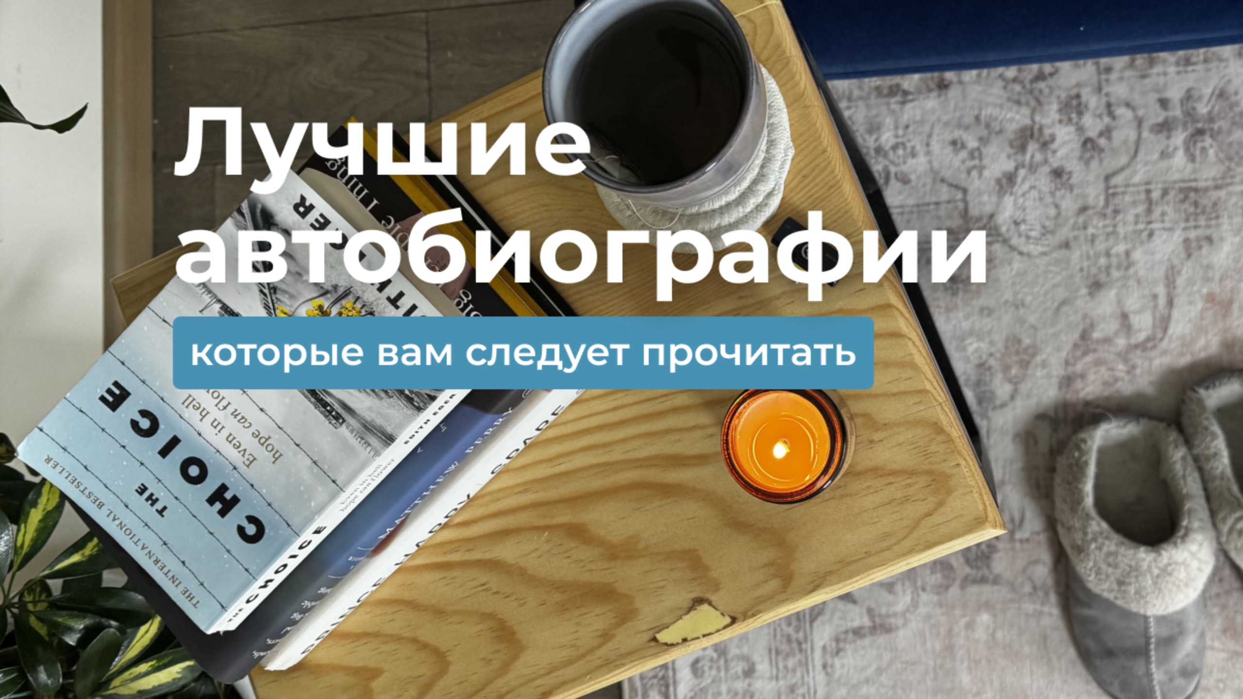 51c711fabab06b8e46ea11a997664e6c