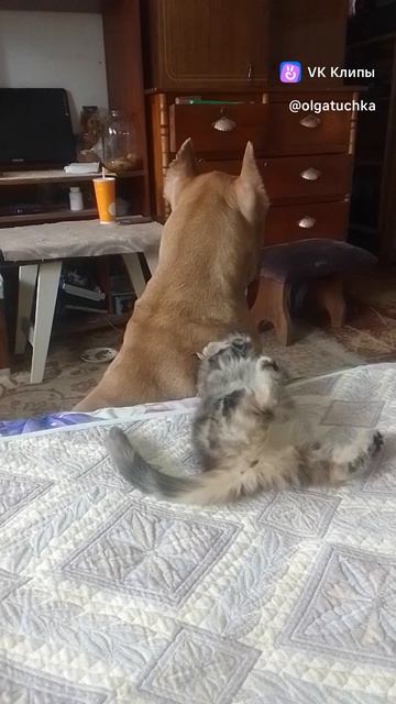 Когда Мышка была малышкой.