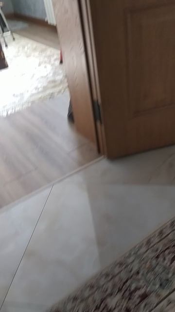 Мы играем прятки часть4