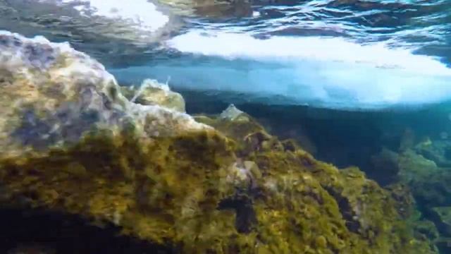 F85fc18212e8d877baf924645ffaade3