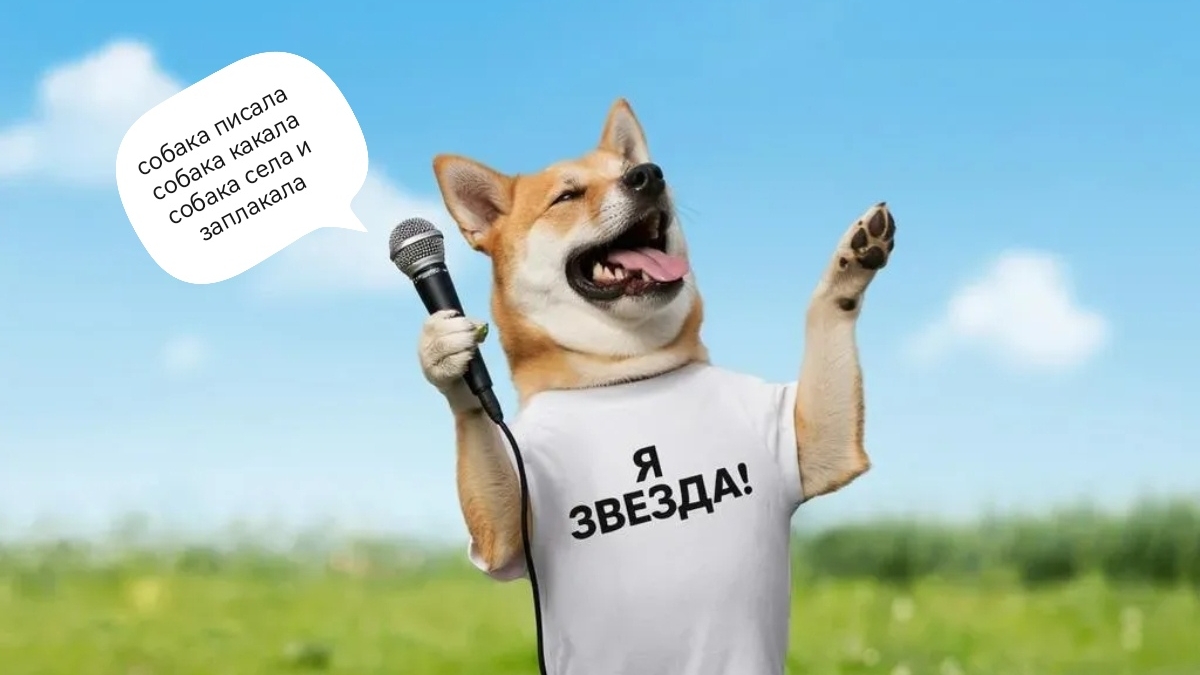 собака в кастрюле поёт песню собака писала собака какала🤣🤣🤣