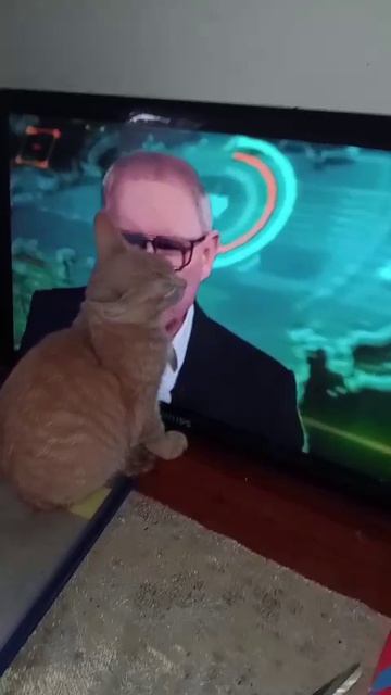 Залипательная дама