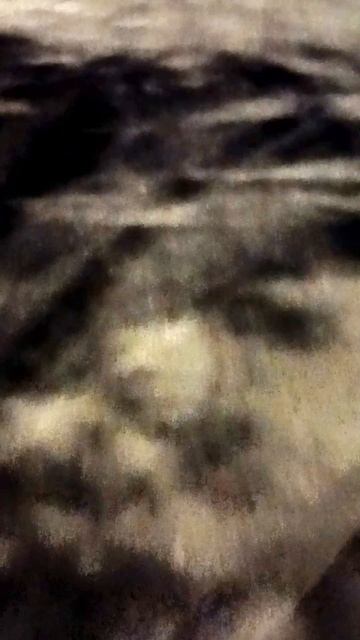 тест Роршаха