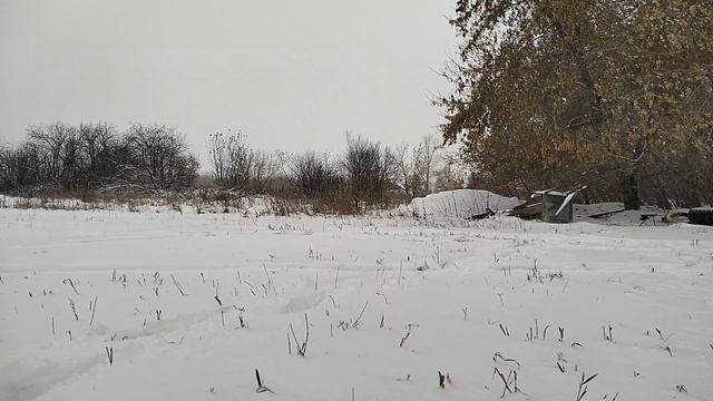 771995d74094c1c5f2048c820830dfe4