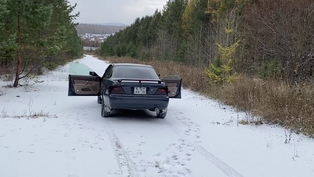 DL Audio Barracuda 165 V.2 небольшой обзор динамиков и прослушка.