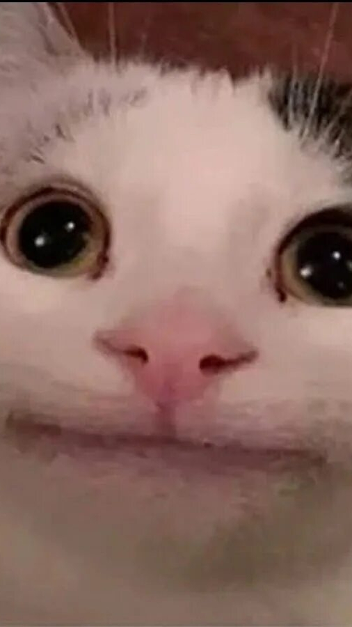 воспоминания белуги (криво получилось??)