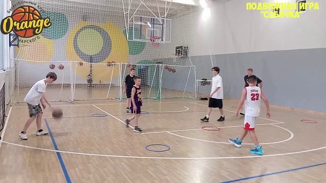 Подвижная игра 