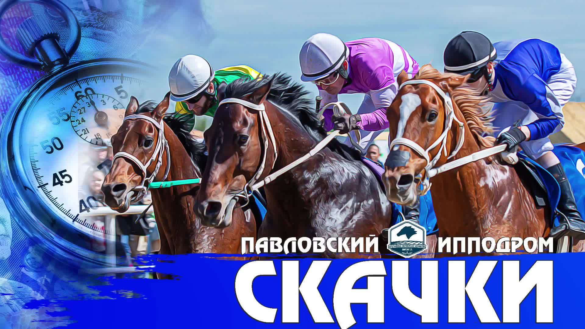 Павловский скачки. Закрытие скакового сезона