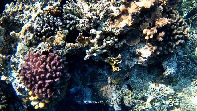 D7247edde3c6e77374a6f7df88fa69a9